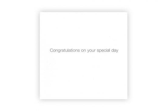 just-married-bicycle-greeting-card-2