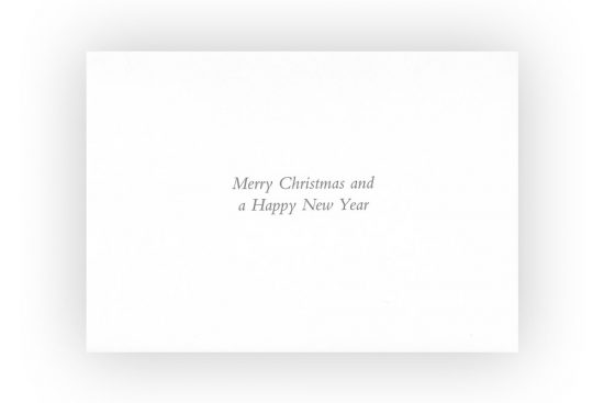 christmas-bicycle-greeting-card-x-8