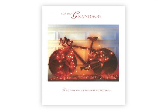 grandson-bicycle-christmas-card