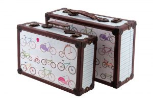 set-of-two-bicycle-cases