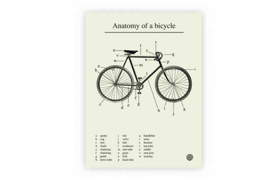 anatomy-of-a-bicycle-cycling-print-by-anthony-oram