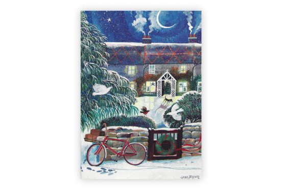posties-bike-bicycle-christmas-cards-x8