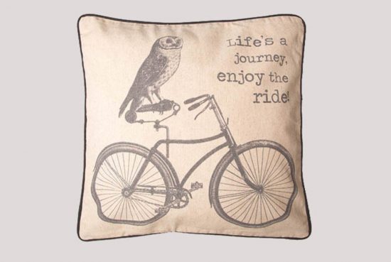 lifes-a-journey-owl-bicycle-cushion