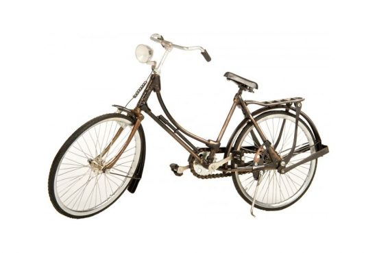 ladys-model-bicycle-large