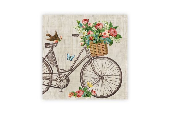 robin-on-a-bicycle-napkins