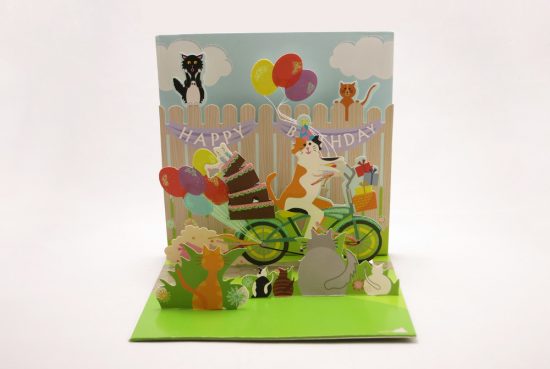 cat-on-a-bicycle-pop-up-greeting-card