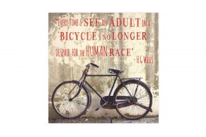 despair-for-the-human-race-bicycle-greeting-card