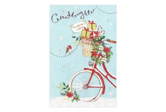 granddaughter-bicycle-christmas-card