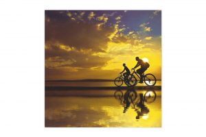 beautiful-day-bicycle-birthday-card