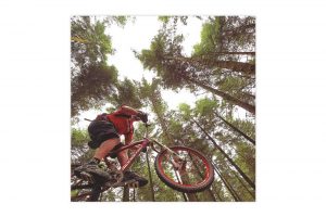 forest-bicycle-greeting-card