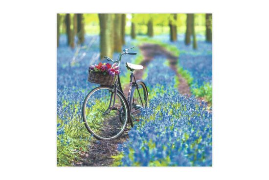 bluebells-bicycle-greeting-card