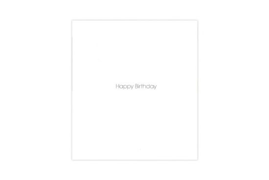 swan-lake-bicycle-birthday-card