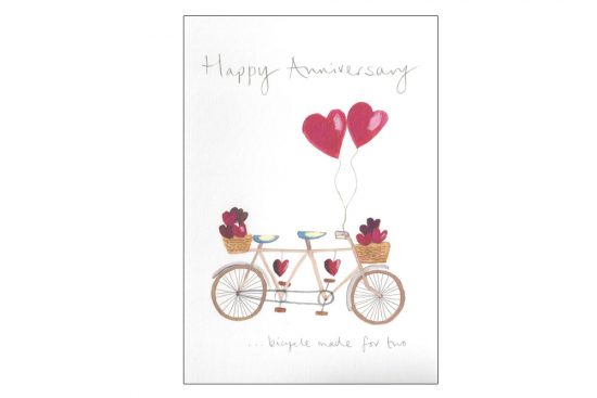 happy-anniversary-bicycle-greeting-card-2