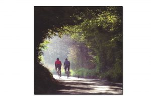 box-hill-national-trust-bicycle-greeting-card
